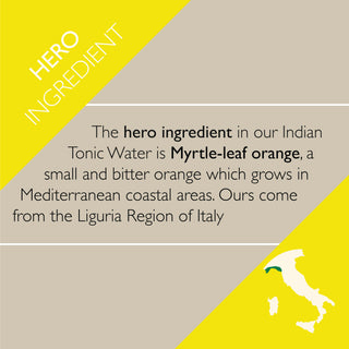 Indian tonic water - 3 x 8 can Fridgepacks