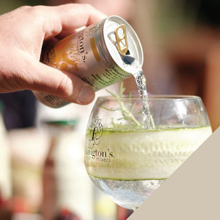 Indian tonic water - 3 x 8 can Fridgepacks