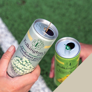 Gently sparkling elderflower pressé