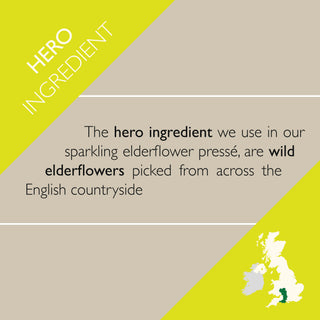 Gently sparkling elderflower pressé