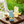 Load image into Gallery viewer, Traditionally hot ginger beer
