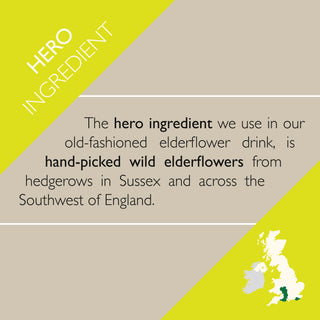 Old-fashioned elderflower drink