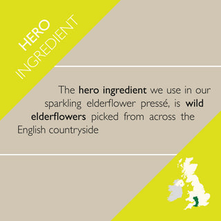 Sparkling Elderflower Pressé - 330ml