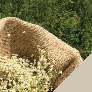 Sparkling Elderflower Pressé - 330ml