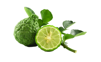 Folkingtons Hero Ingredient: Bergamot