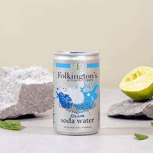 150ml Club Soda Water can in front of rocks with a piece of lime