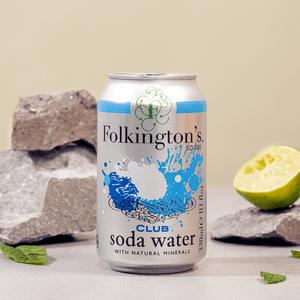 Image of a 330ml Soda Water can open in from of  natural rocks with lime quarters and mint.