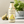 Load image into Gallery viewer, Cloudy pear juice
