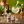 Load image into Gallery viewer, Earl Grey tonic water
