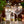 Load image into Gallery viewer, Indian tonic water
