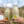 Load image into Gallery viewer, Mango juice
